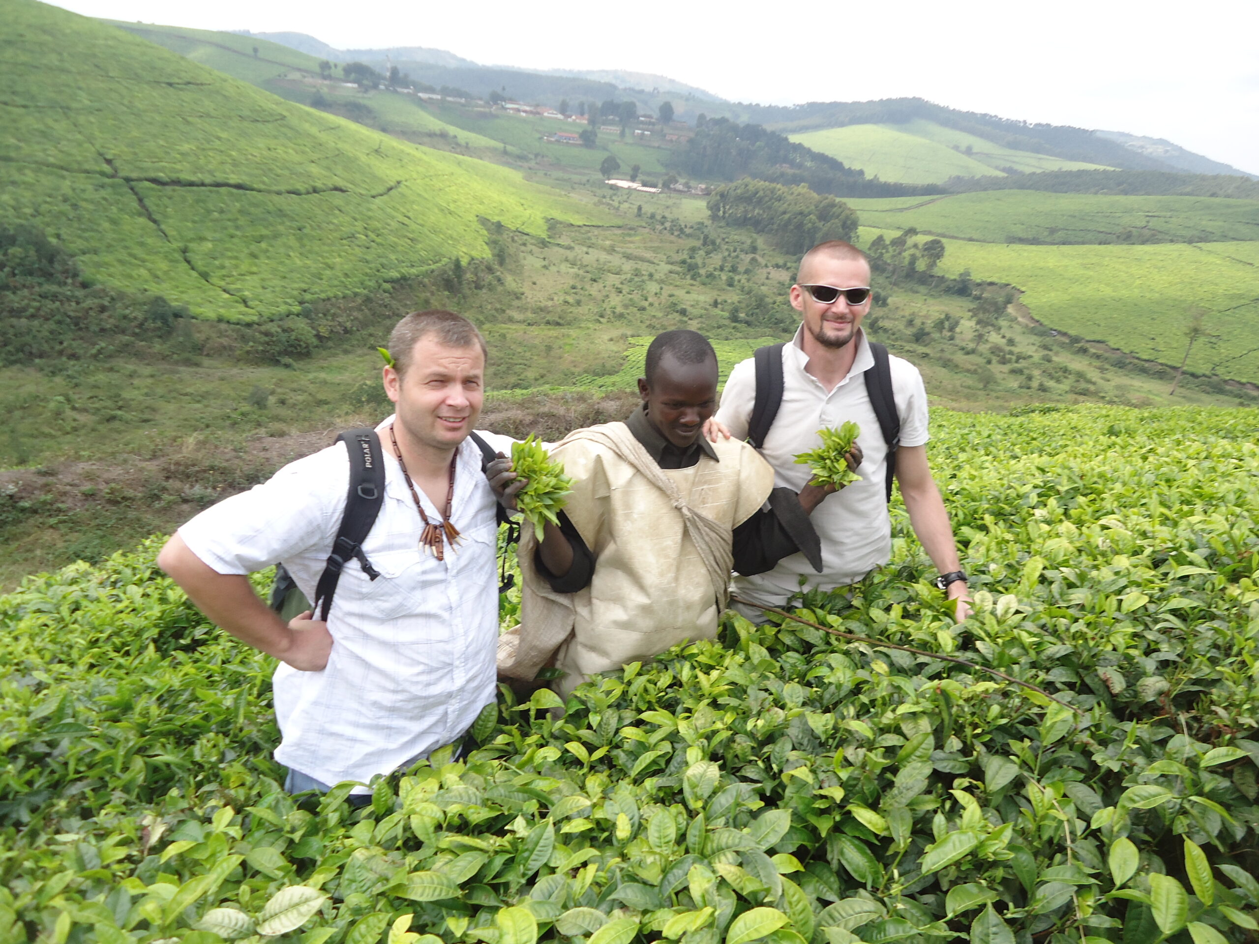 Les plantations de thé de Teza Map Tours